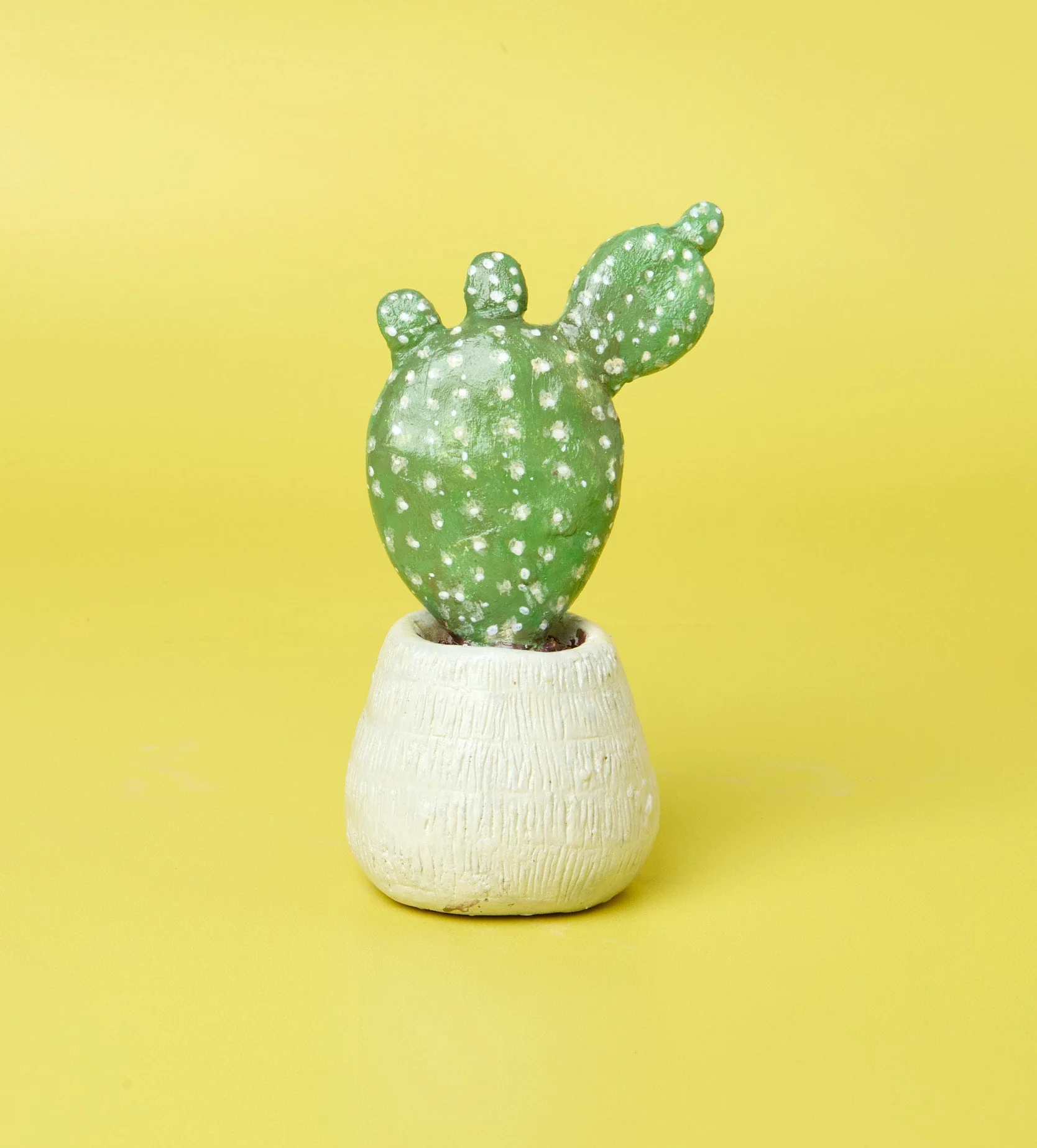 Succulent Sculptures - Image 7